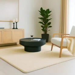 Tapis De Salon Poils Ras Doux Antiderapant 160x230cm Uni Beige(Tapis De Salon Poils Ras Doux Antiderapant 160x230cm Uni Beige)