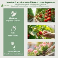 Mini Serre De Jardin Avec 2 Portes Enroulables Bache PE Renforcee 135g/m2 180x90x90cm Blanc(Mini Serre De Jardin Avec 2 Portes Enroulables Bache Pe Renforcee 135g M2 180x90x90cm Blanc) -Boutique Vounot 07 aeb05885 5c30 4477 b5db 1bcc13a25c59