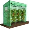 Serre De Jardin Serre Tomates Avec Porte Et Fenetres Moustiquaire Bache PE Renforcee 135g/m2 200x77x170cm Vert(Serre De Jardin Serre Tomates Avec Porte Et Fenetres Moustiquaire Bache Pe Renforcee 135g M2 200x77x170cm Vert)
