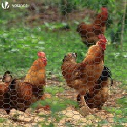 Grillage A Poule Avec Fils 25mm En PVC Gaine Gris 1x25M(Grillage A Poule Avec Fils 25mm En Pvc Gaine Gris 1x25m) -Boutique Vounot 3 e9de5b14 431a 48be b7f2 5d4f83794d95