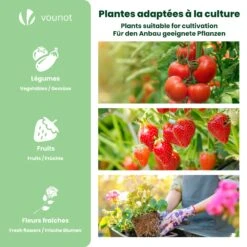 Serre De Jardin Serre Tomates Avec Grande Porte Enroulable Bache PE Renforcee 135g/m2 100x50x150cm Vert(Serre De Jardin Serre Tomates Avec Grande Porte Enroulable Bache Pe Renforcee 135g M2 100x50x150cm Vert) -Boutique Vounot 7 4b134b7a f18b 47f4 a5ec 4cde3f73dc72