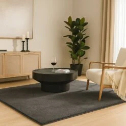 Tapis De Salon Poils Ras Doux Antiderapant 160x230cm Uni Anthracite(Tapis De Salon Poils Ras Doux Antiderapant 160x230cm Uni Anthracite)