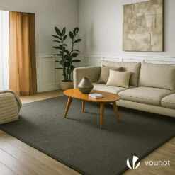 Tapis De Salon Poils Ras Doux Antiderapant 240x340cm Uni Anthracite(Tapis De Salon Poils Ras Doux Antiderapant 240x340cm Uni Anthracite) -Boutique Vounot picture7anthracite